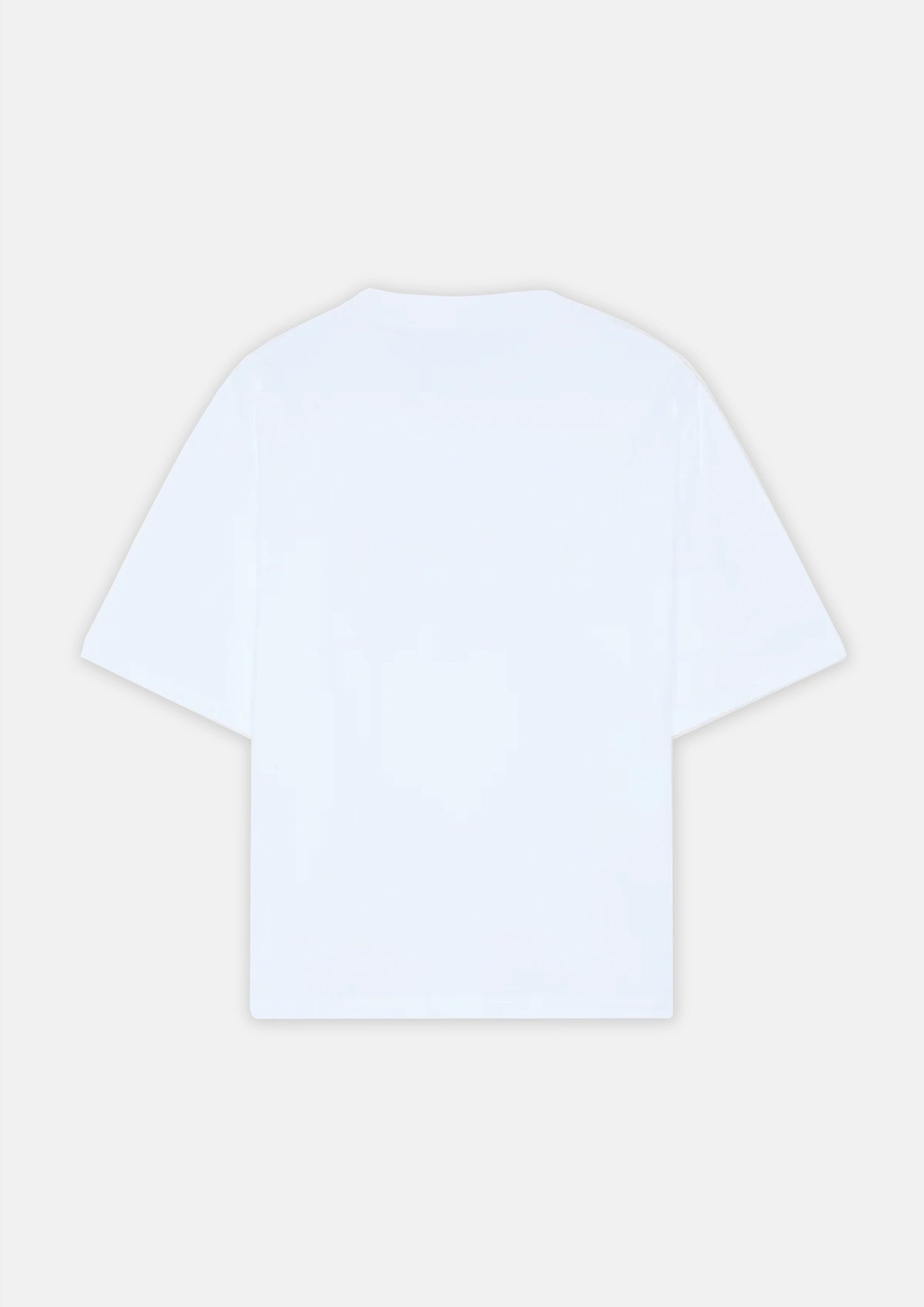 TEE SHIRT FLYING SPIRIT